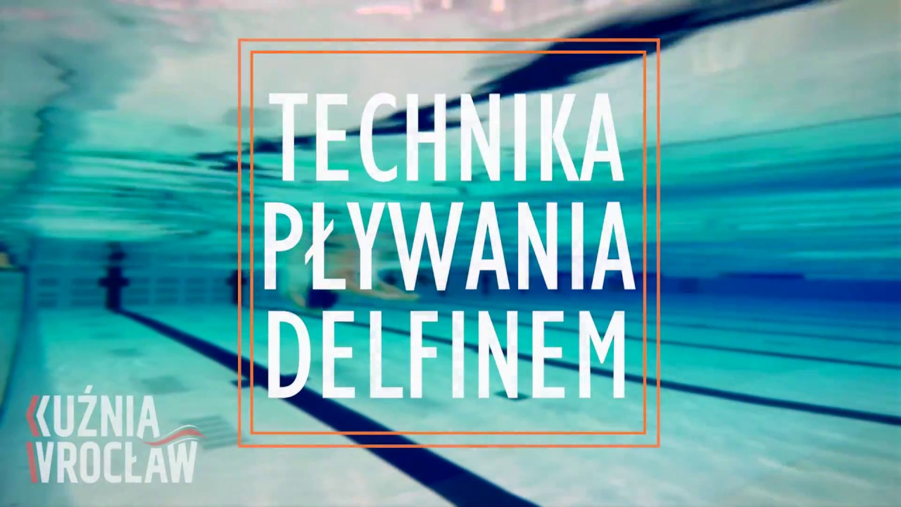 Technika pływania delfinem w czterech krokach