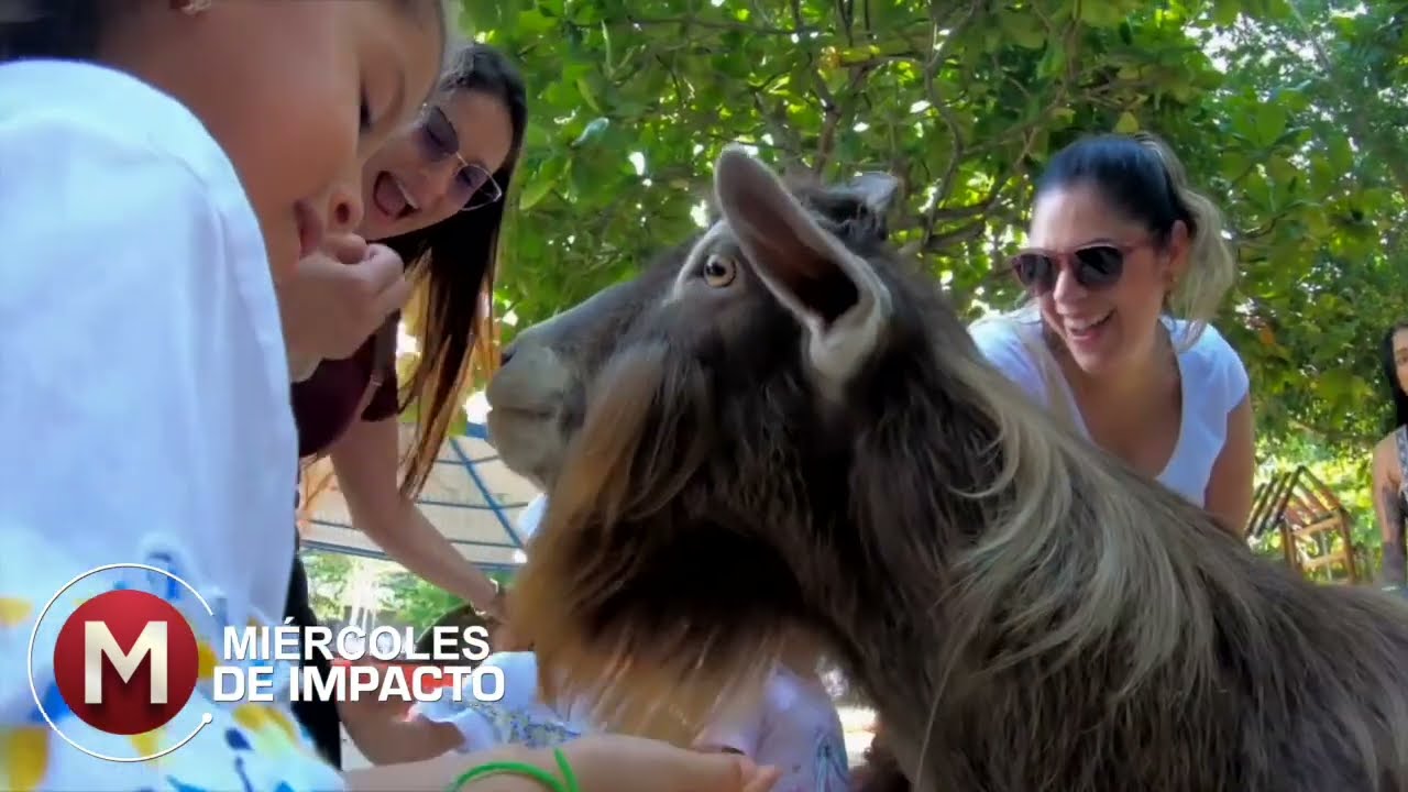 Parque Muvdi: más vivo que nunca