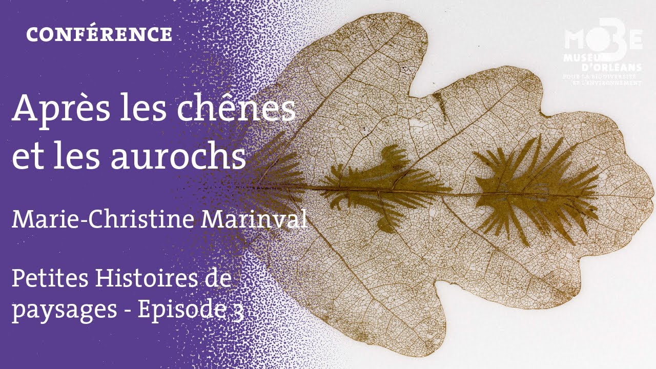 MOBE - Conférence - Marie-Christine Marinval : Après les chênes et les aurochs -  Jeudi 28 mars 2024