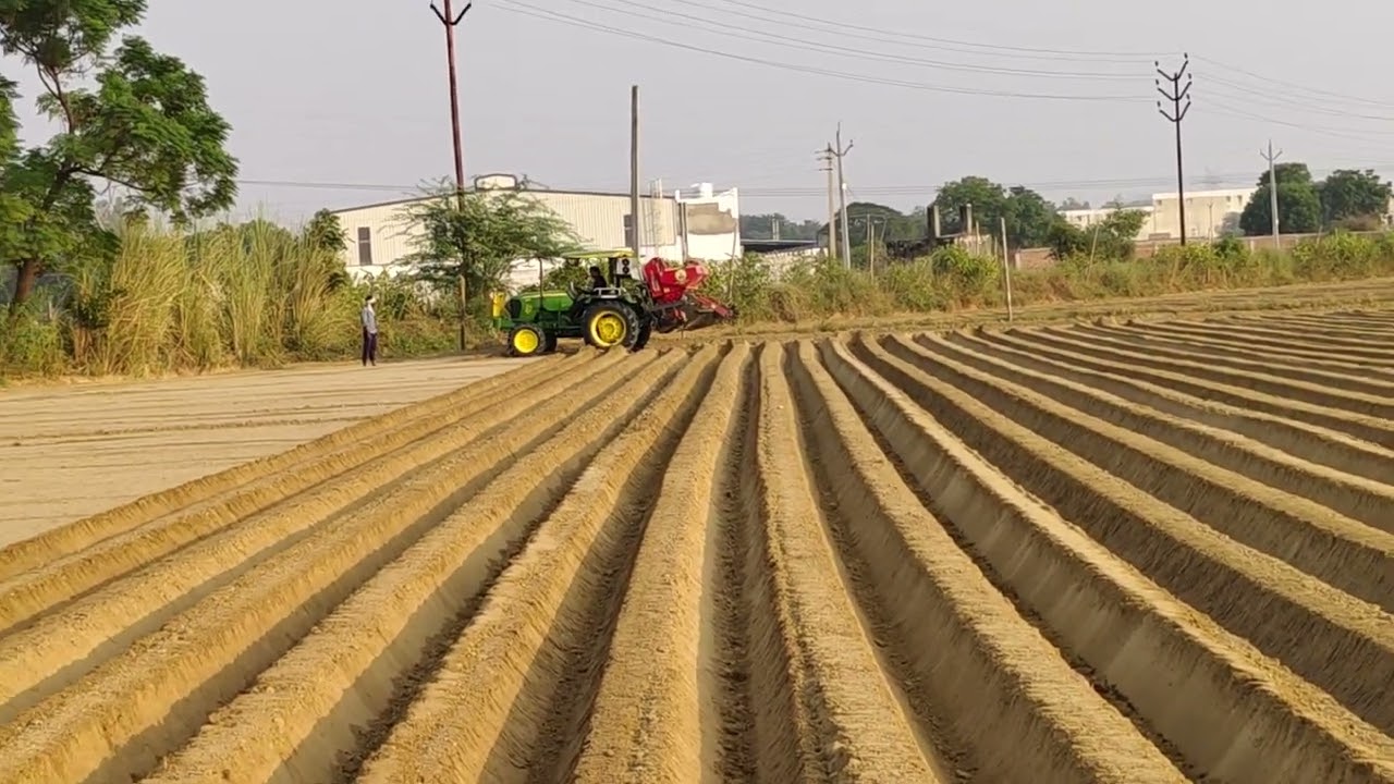 आलू की बुवाई होती हुई खंदौली आगरा 25/10/2024#kisan