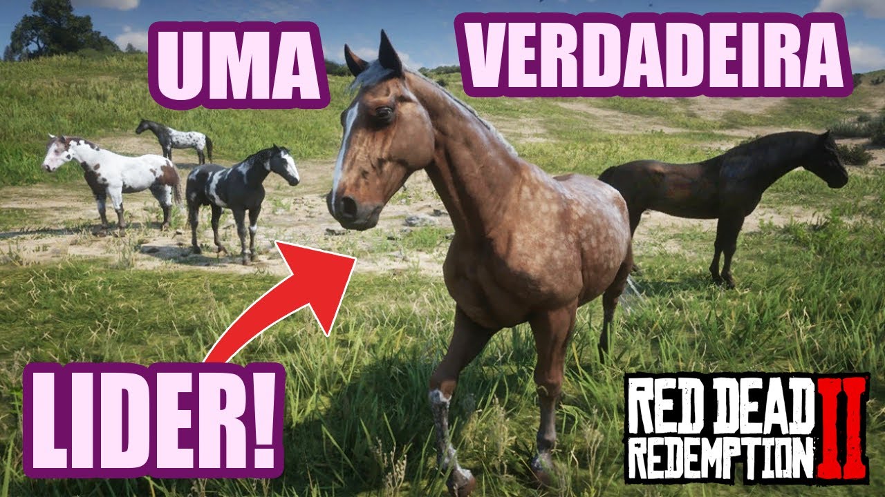 ELA É UMA LIDER INCRÍVEL NA MANADA DE CAVALOS SELVAGENS! (roleplay Historia parte 7) RDR2