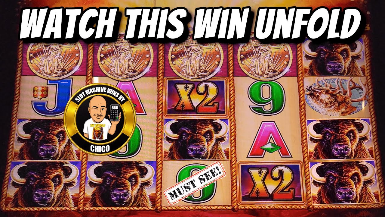 Back To Back Bonus on Buffalo Gold Pays Me BIG TIME!