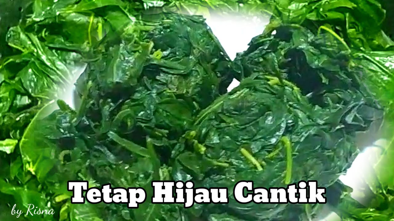 Tips & Cara Merebus Daun Singkong Agar Tetap Hijau Cantik Dan Cepat Empuk