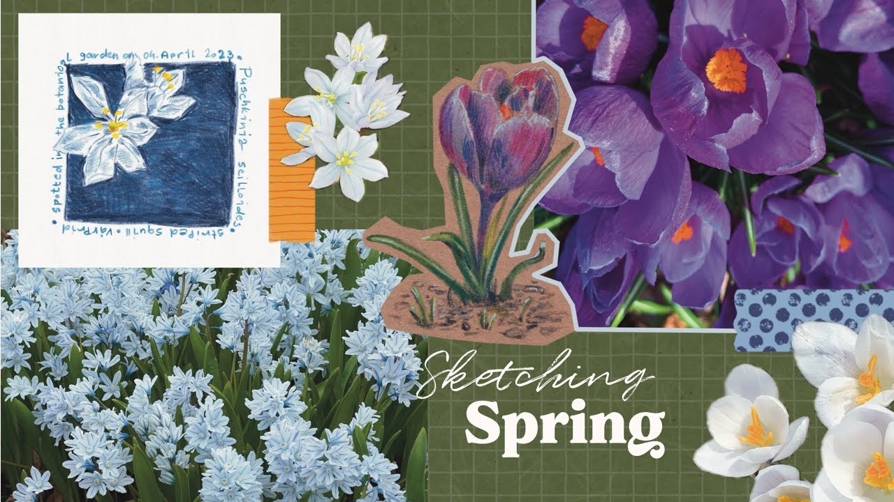 Nature Journaling: Sketching the First Signs of Spring