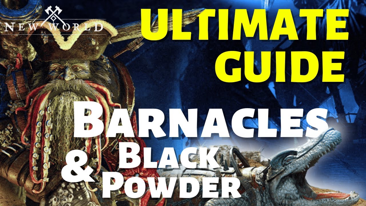 New World - Barnacles & Black Powder  Expedition - ULTIMATE GUIDE