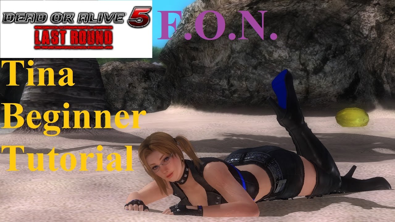 Tina Beginner Guide Tutorial (DOA5LR)
