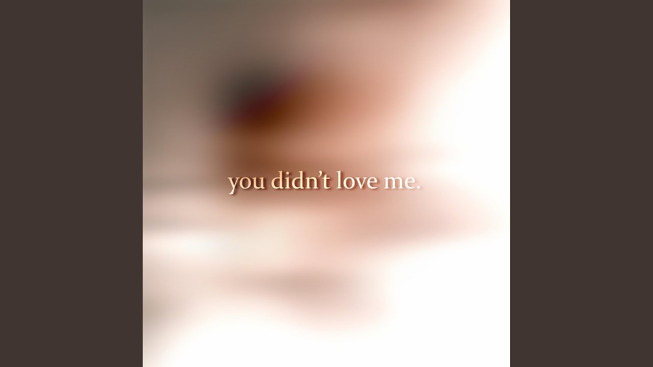 you didn't love me