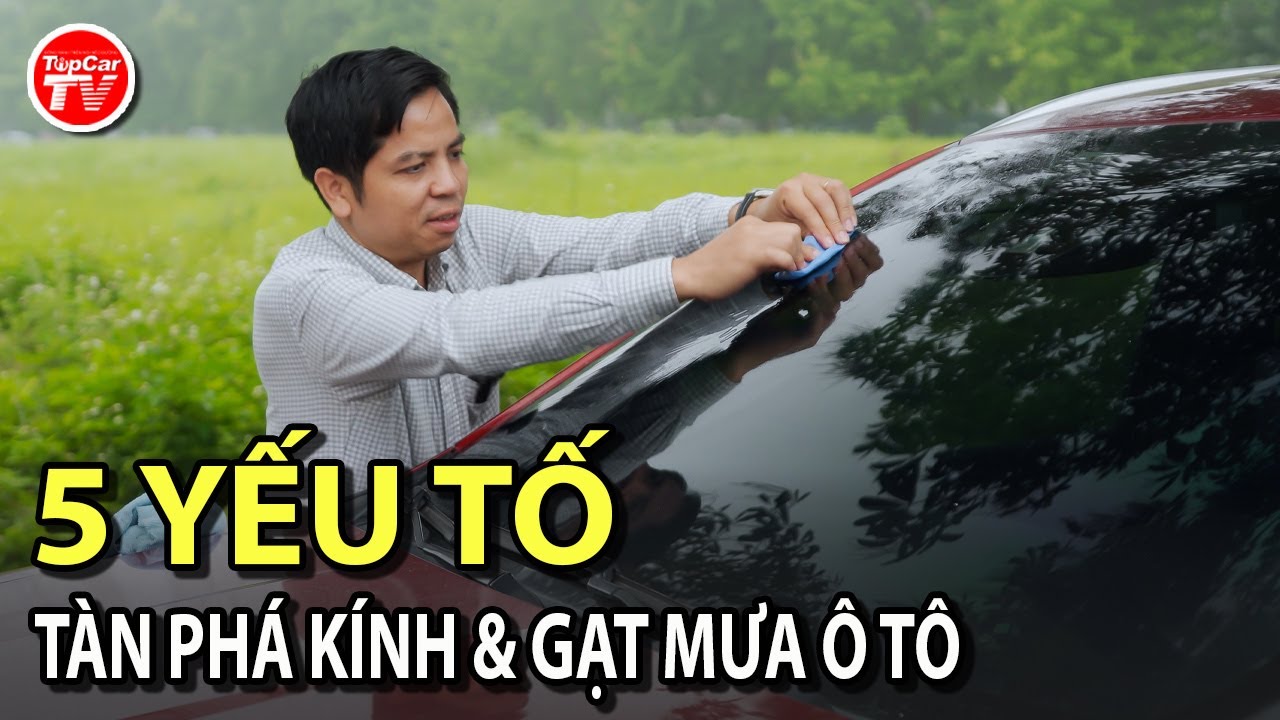 5 yếu tố gây hại kính & khiến gạt mưa ô tô bị hư hỏng với tốc độ gấp 10 lần | TIPCAR TV