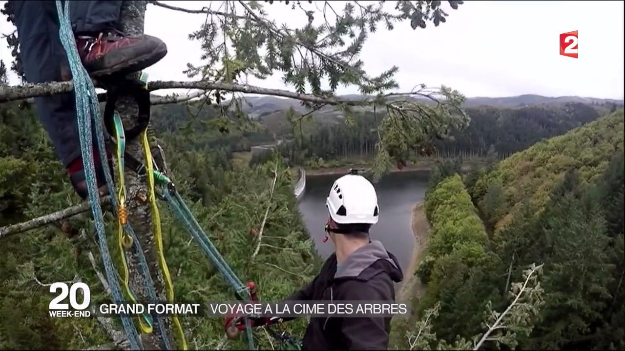 VOYAGE A LA CIME DES ARBRES FRANCE 2