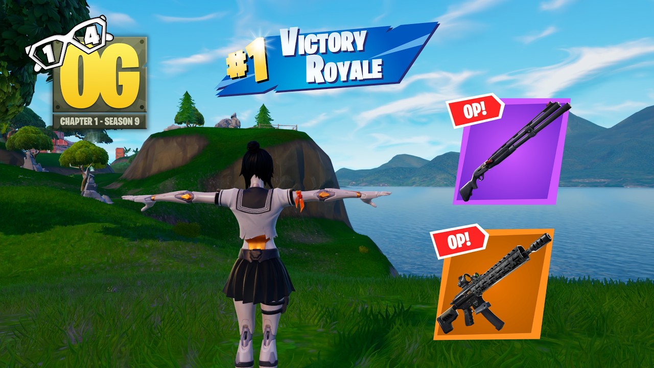 23 Kill Fortnite Solos 