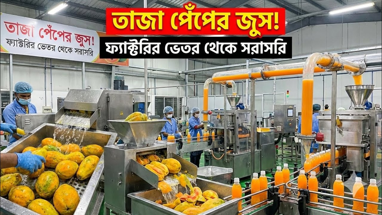 ফ্যাক্টরির ভিতরে পেঁপে জুস তৈরির গোপন প্রসেস! 😲 | Papaya Juice Factory Processing