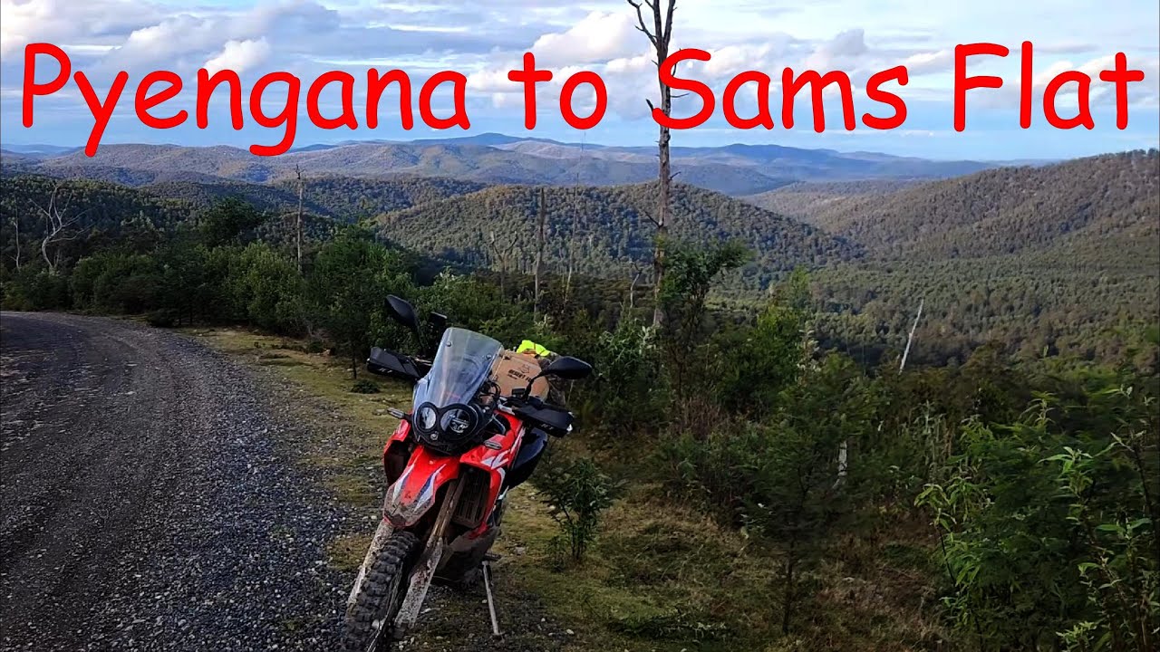 Pyengana to Sams Flat via Powers Ridge and Hogans Rd on a CRF250 Rally