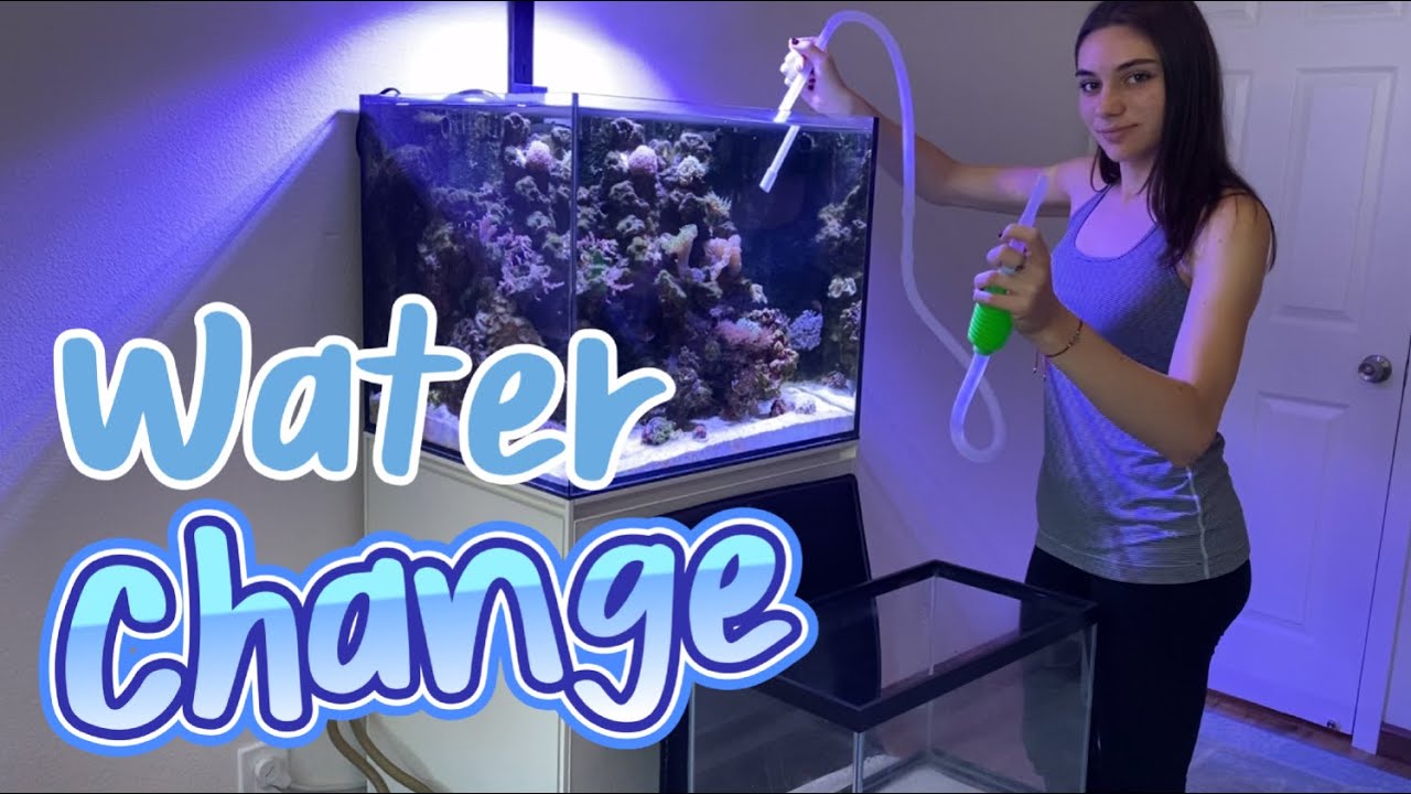 How I do Waterchanges on my Reef Tank
