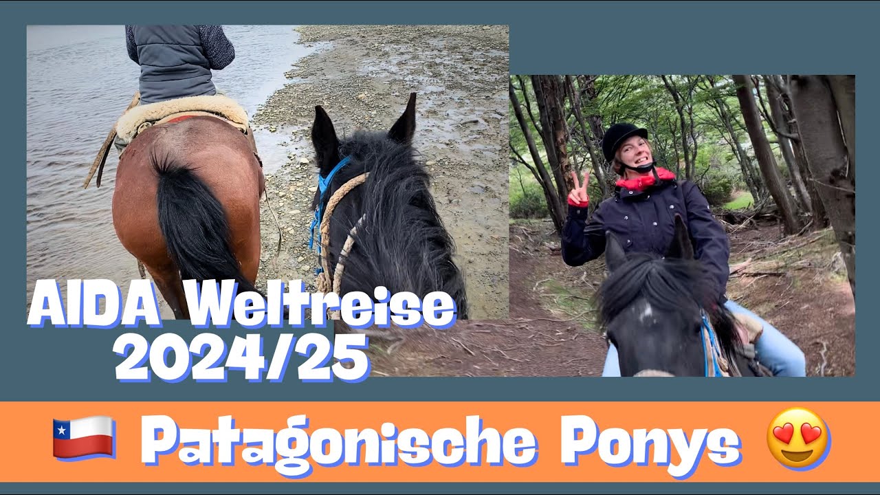 Punta Arenas 🐴🇨🇱 | AIDAsol Weltreise 2024/25