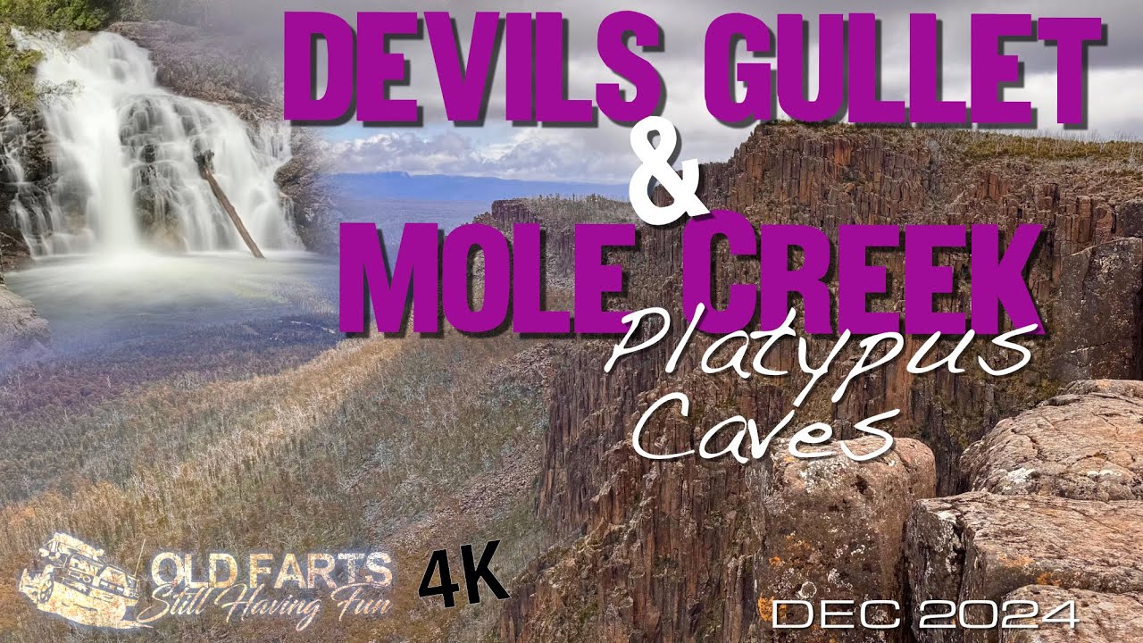 Devils Gullet - Mole Creek And Caveside (Dec2024)