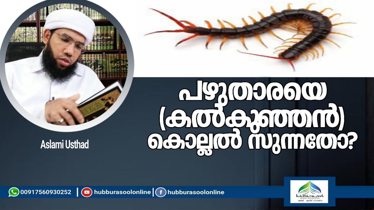 പഴുതാരയെ കൽകുഞ്ഞനെ കൊല്ലൽ സുന്നതോ? | Aslami Usthad | Hubburasool Online