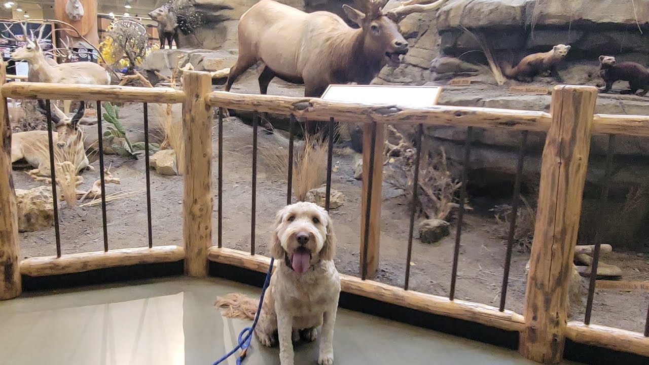 Max's Journey!