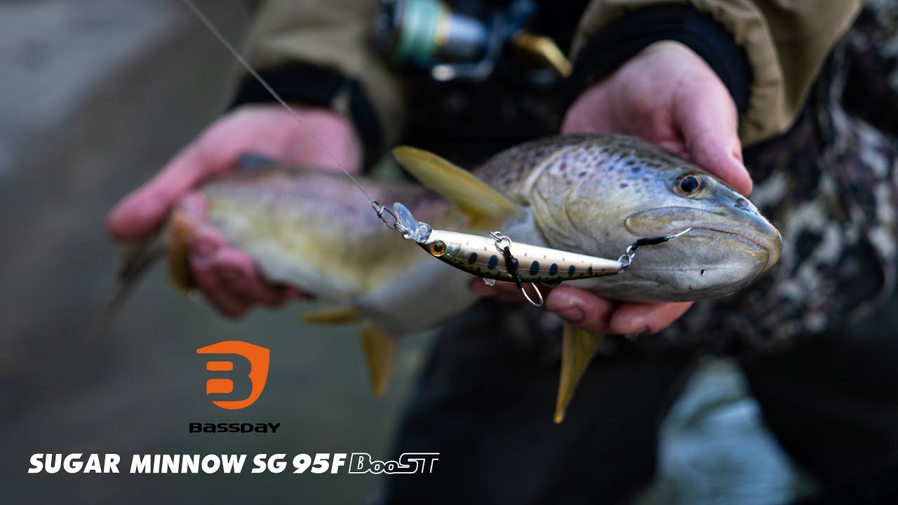 Bassday Sugar minnow SG 95F boost - Spinning alla trota in Adige