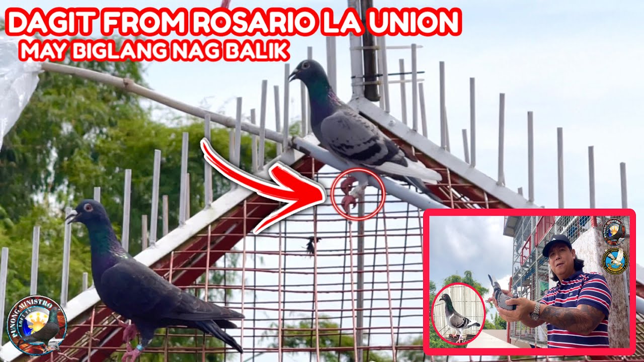 EP1136 DAGIT FROM ROSARIO LA UNION PARANG PAMILYAR YUNG TAPE SA PAA!