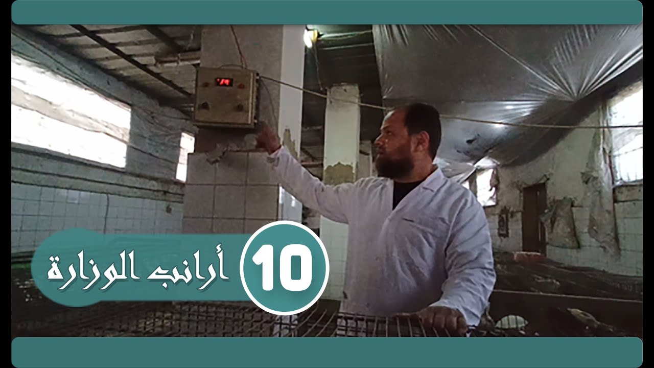 ❉ الحلقة رقم ( 10 ) 🐰 كيفية التهوية والتدفئة داخل المزارع. 🐰