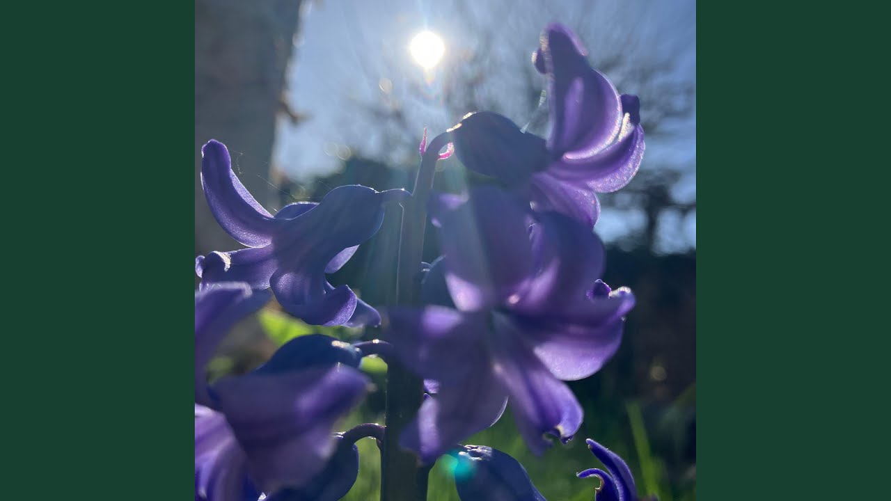 You and me and the trauma