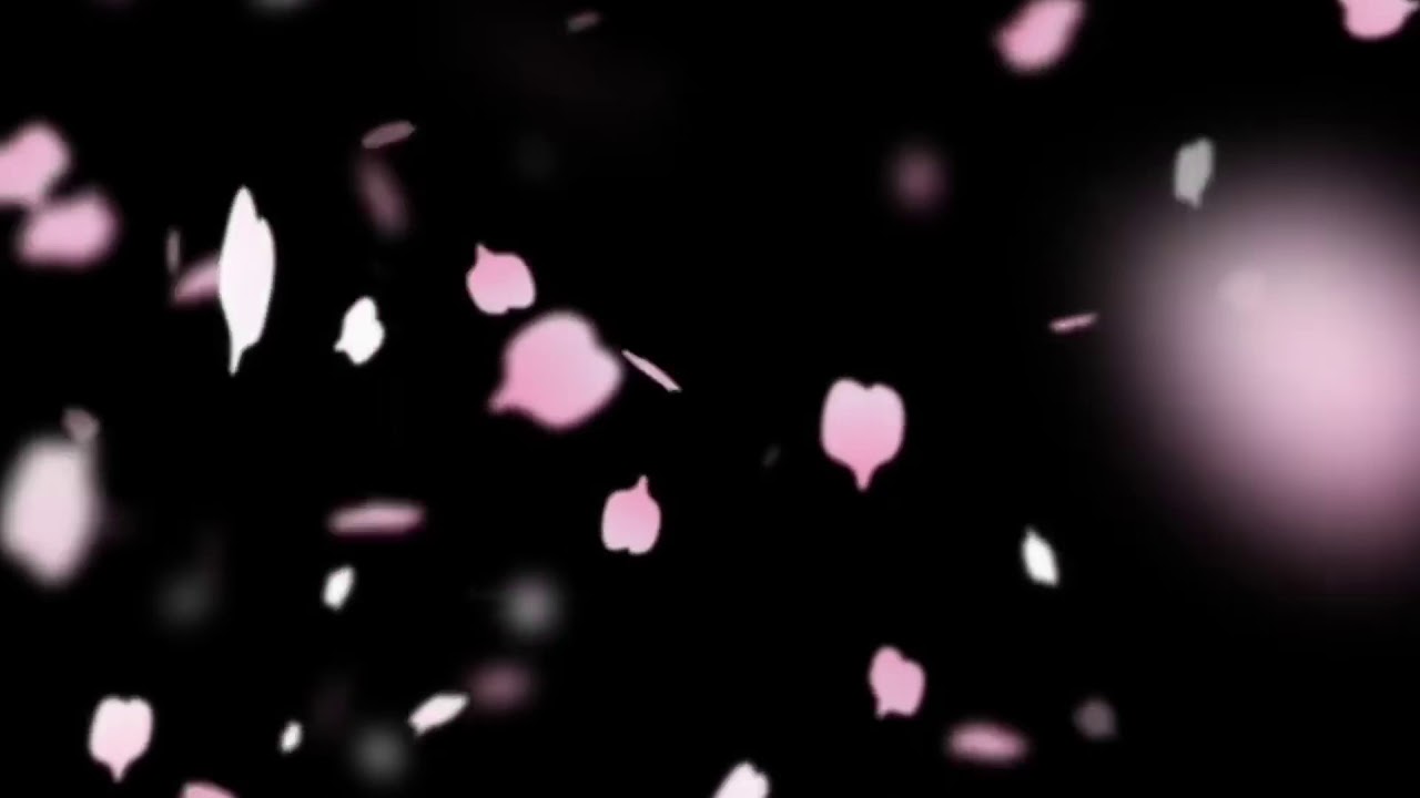 创世纪 11 张