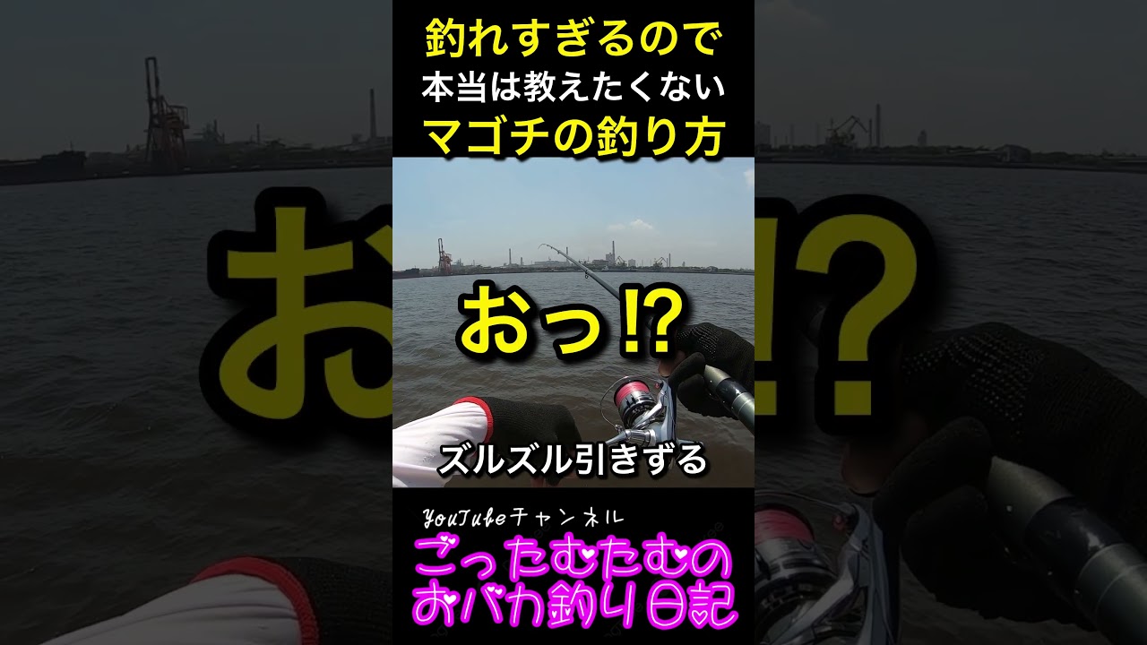 釣れすぎるので本当は教えたくないハゼを使ったマゴチの釣り方