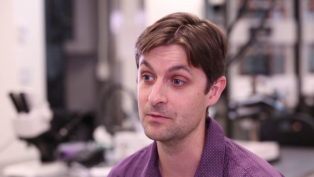 Studying Neuroscience at Northwestern University