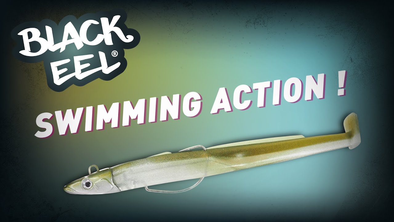 fiiish - Black Eel - Swimming action