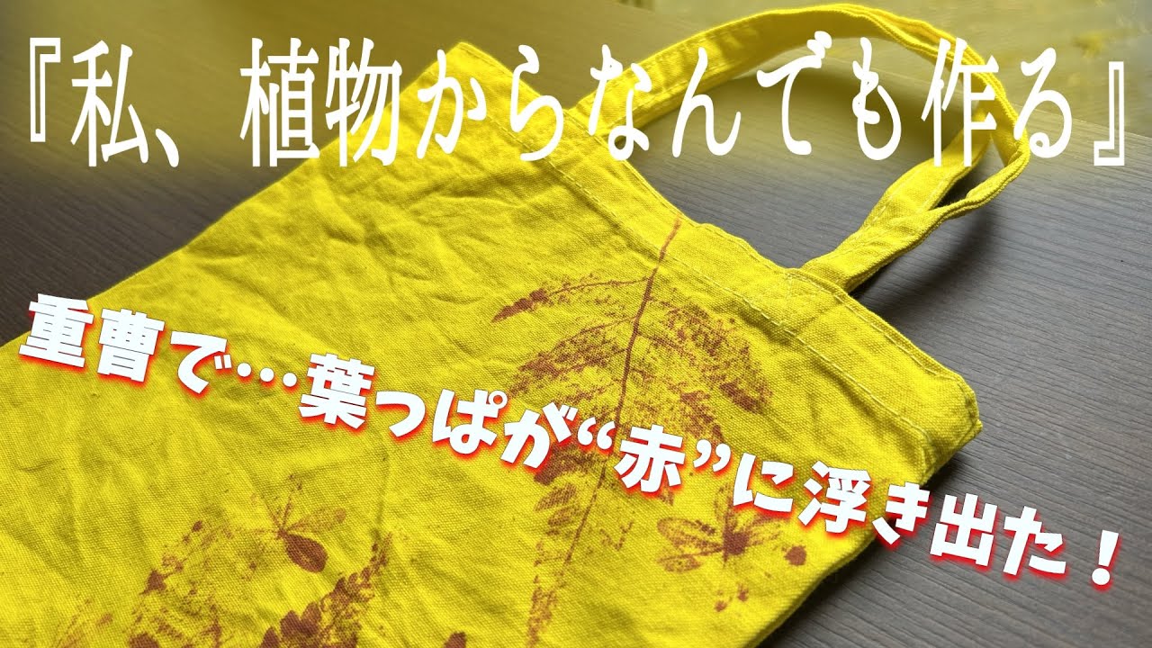 ターメリック草木染め｜重曹で“赤い葉っぱ”が浮かぶ不思議な変色染め