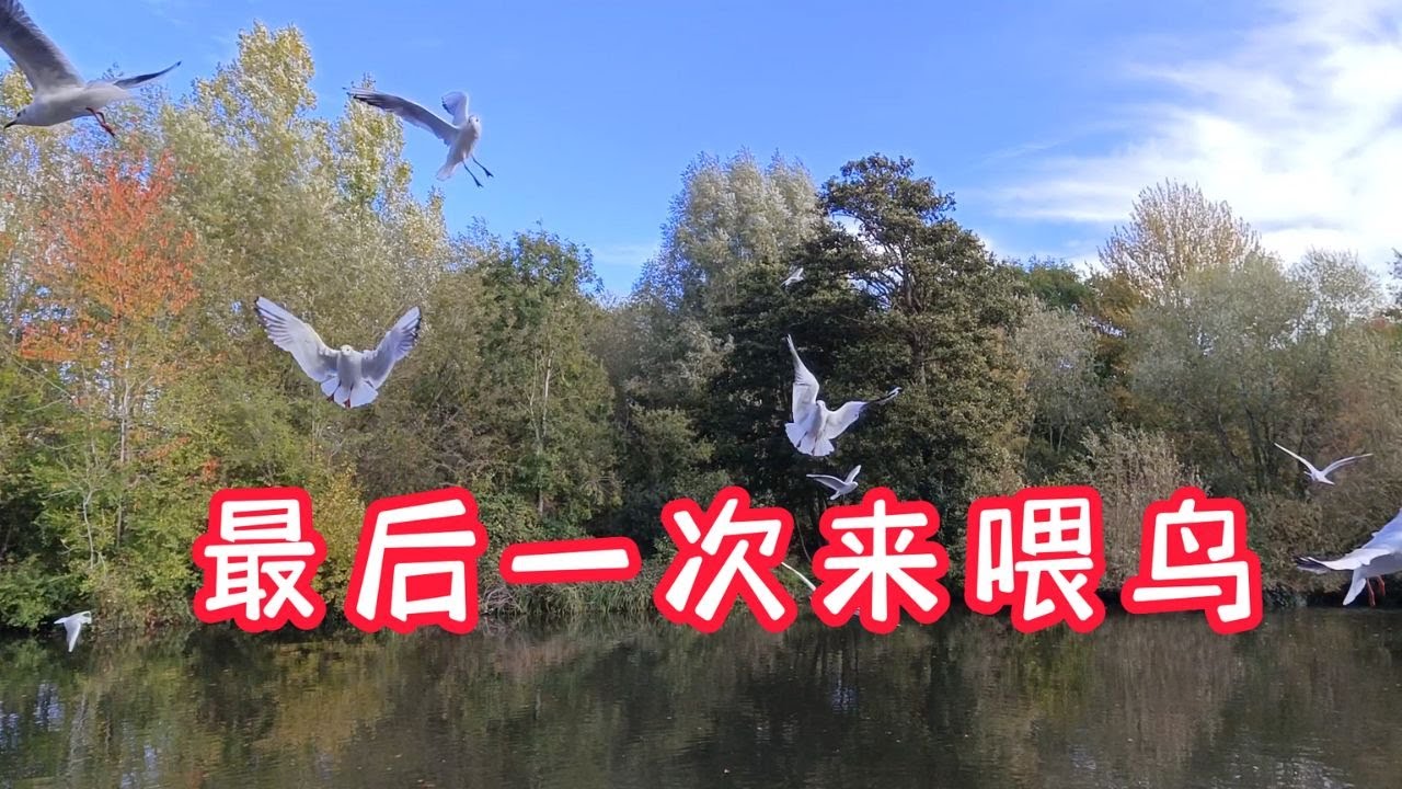 牛津最后一天 / 再见了牛津 / #goodmorningunclenam /