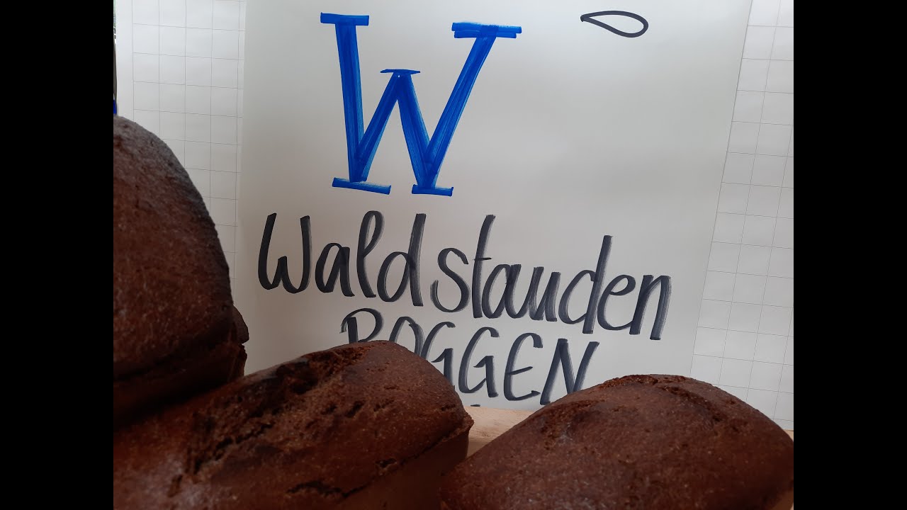 Waldstaudenroggenschrotbrot! mit Einstufensauerteig und Quellstück.