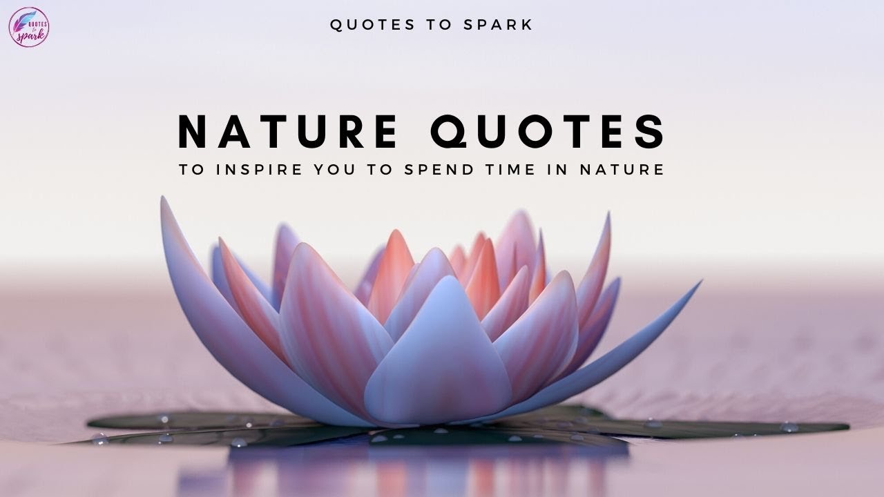 Best Nature Quotes To Understand It's Importance | Nature Sayings | Quotes to Spark
