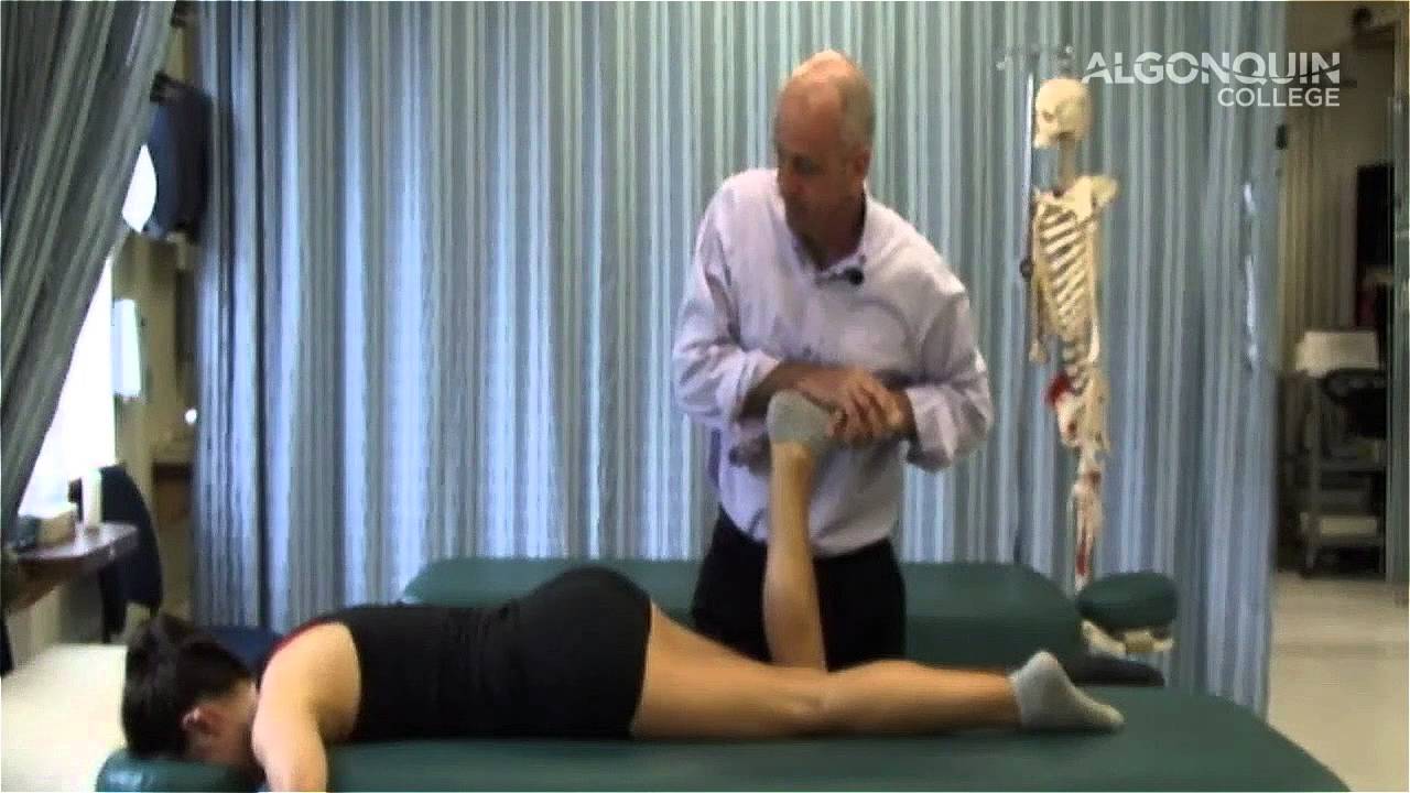 PNF Lower Body