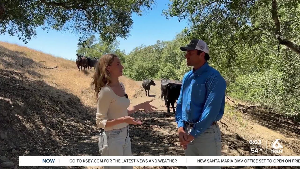 Local rancher explains what&rsquo;s driving higher beef prices