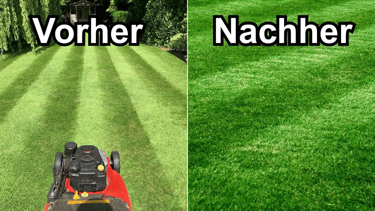 So mähst du deinen Rasen RICHTIG