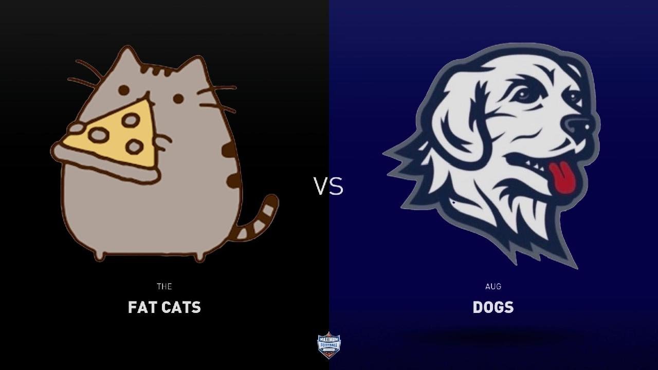 Week 4: Aug Dogs vs Phat Cats