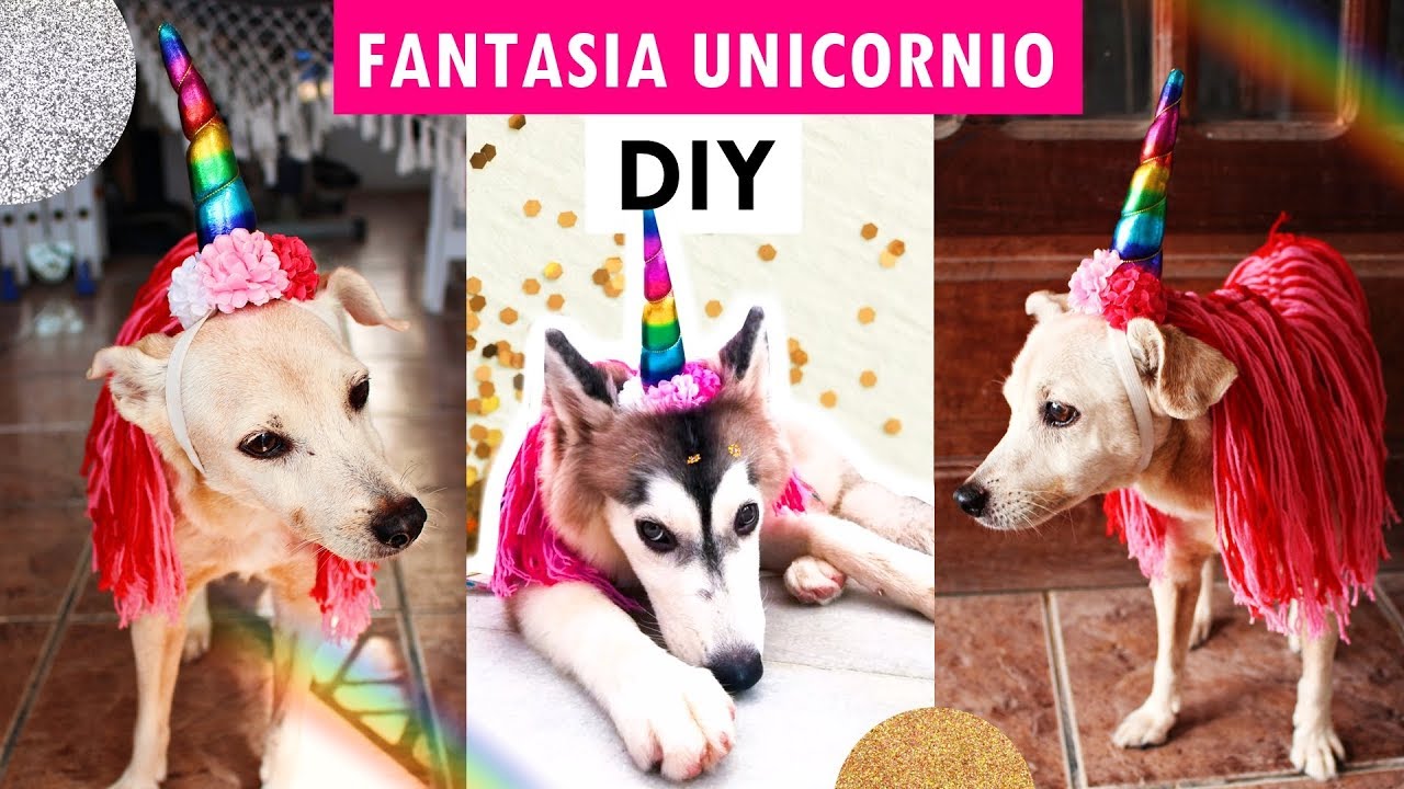 DIY Como fazer fantasia de UNICÓRNIO para CACHORRO para o carnaval