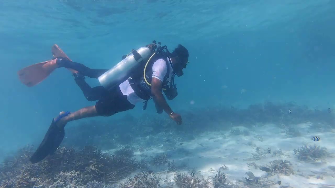 Scuba diving 🤿🦪 in lakshadweep #scubadiving #scuba #lakshdweep #agatti 