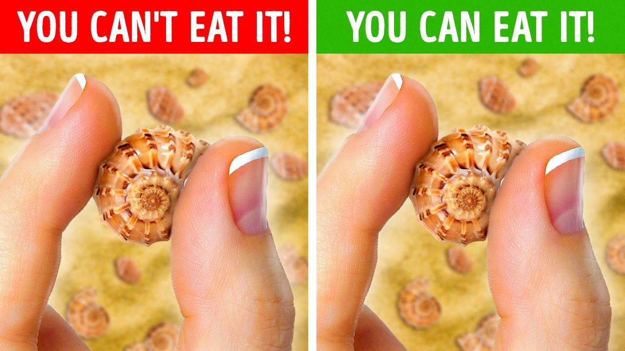 28 FANTASTIC COOKIE IDEAS that are so delicious
