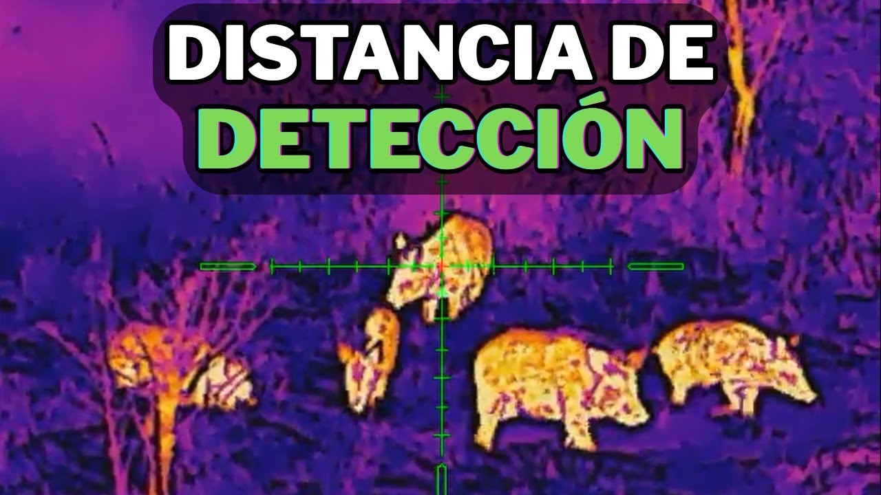 Hasta donde ves con vision termica || Clave para identificar animales a distancia 