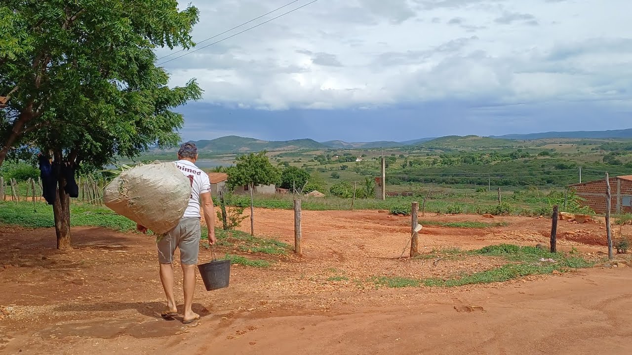 CARNAVAL QUE NADA, VAMOS É PLANTAR A ROÇA