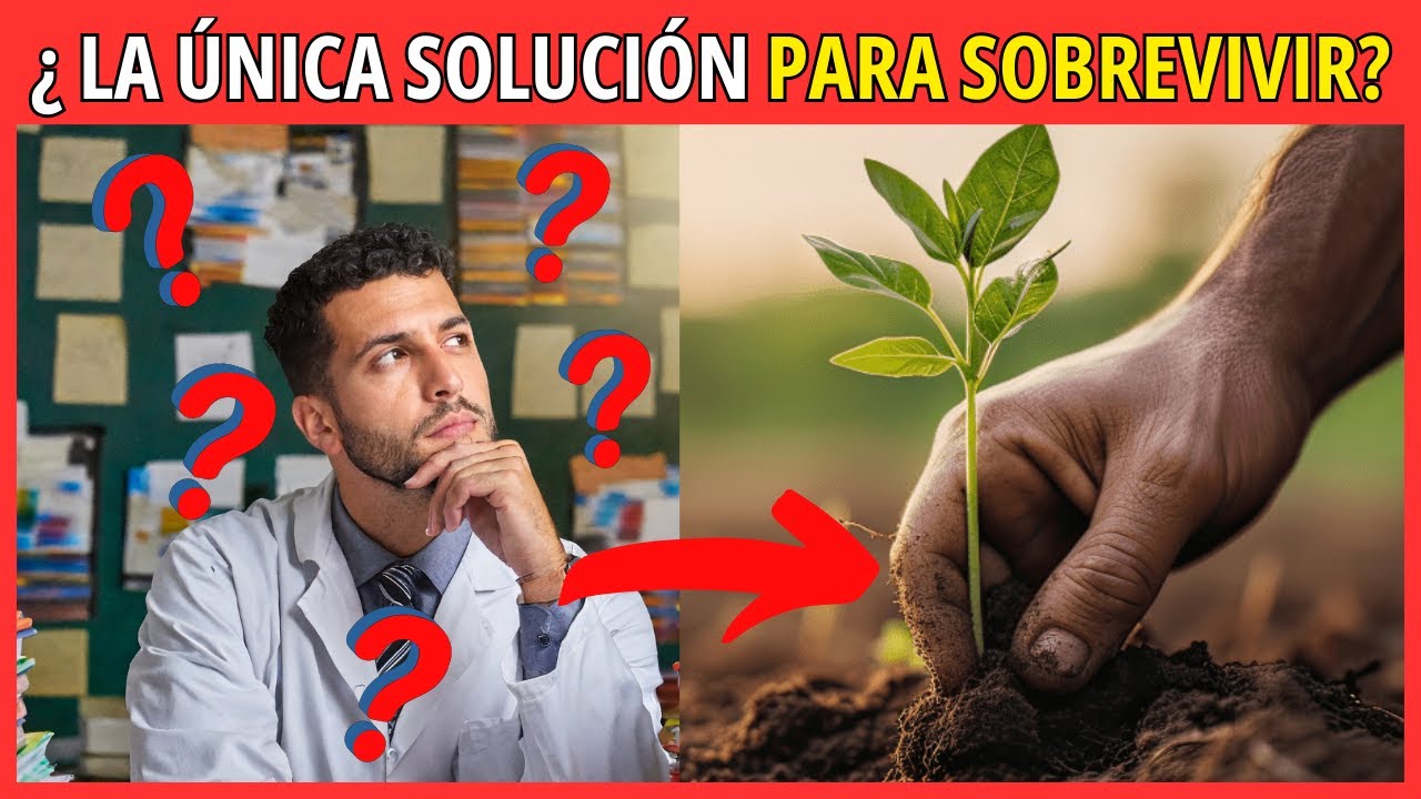 AGRICULTURA REGENERATIVA - Definición, Tipos, Ventajas y Desventajas y Beneficios Futuros