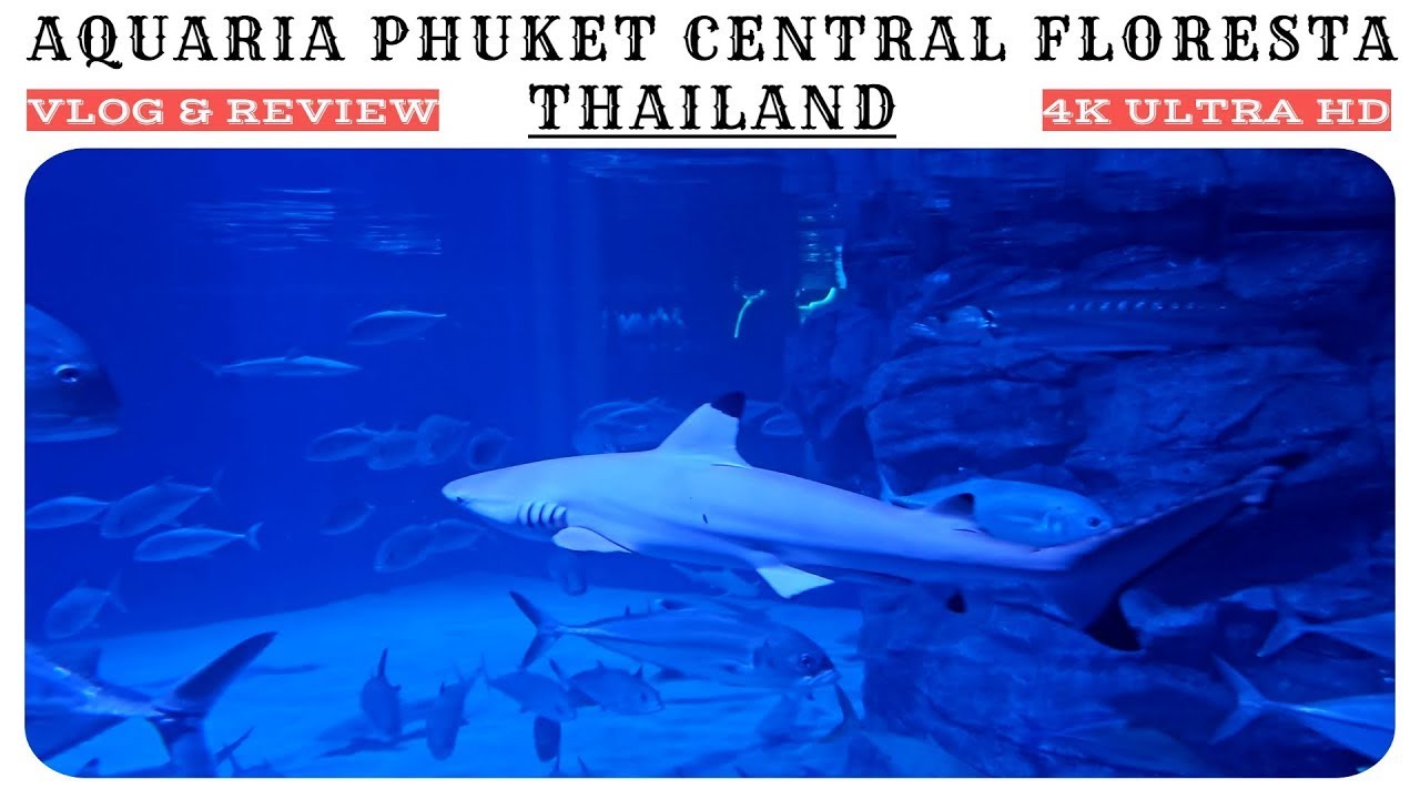 Aquaria Phuket &mdash; крупнейший аквариум в Таиланде