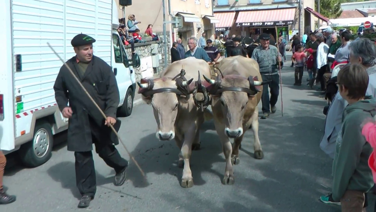 foire agricole mas d'azil 2017  Défilé