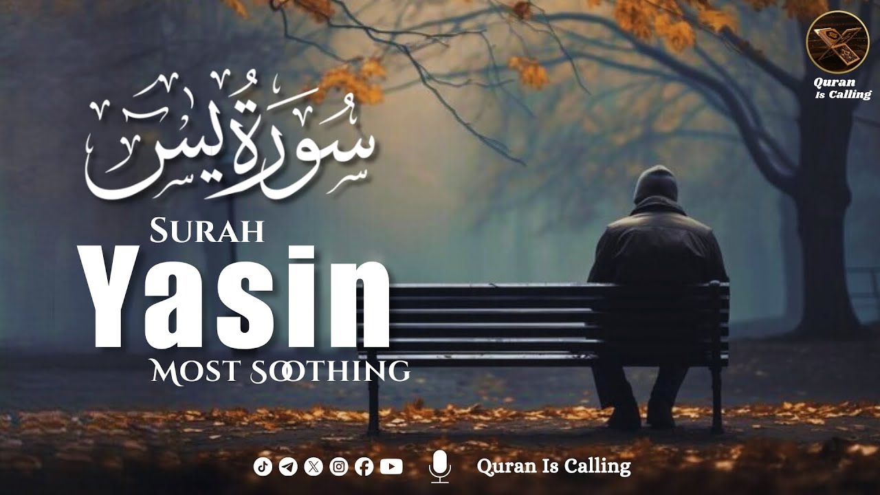 🌙 Surah Yaseen (سورة يس) | The Heart of the Quran | Calm & Soul Healing Recitation