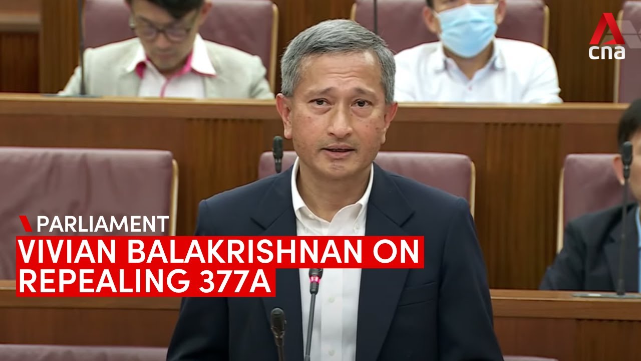 Vivian Balakrishnan speaks in debate on repealing Section 377A