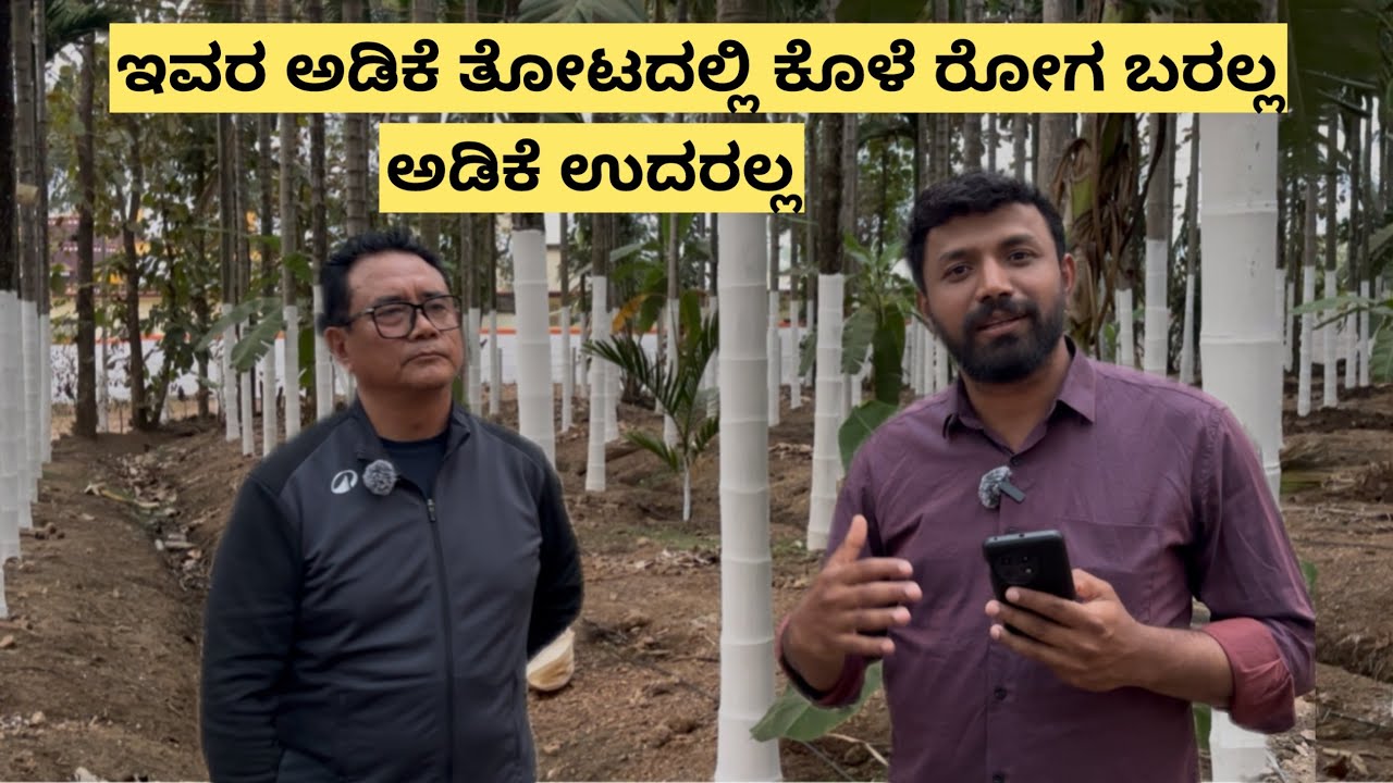ಇವರ ಅಡಿಕೆ ತೋಟದಲ್ಲಿ ಕೊಳೆ ರೋಗ ಬರಲ್ಲ ಅಡಿಕೆ ಉದರಲ್ಲ|No problem of nut dropping|
