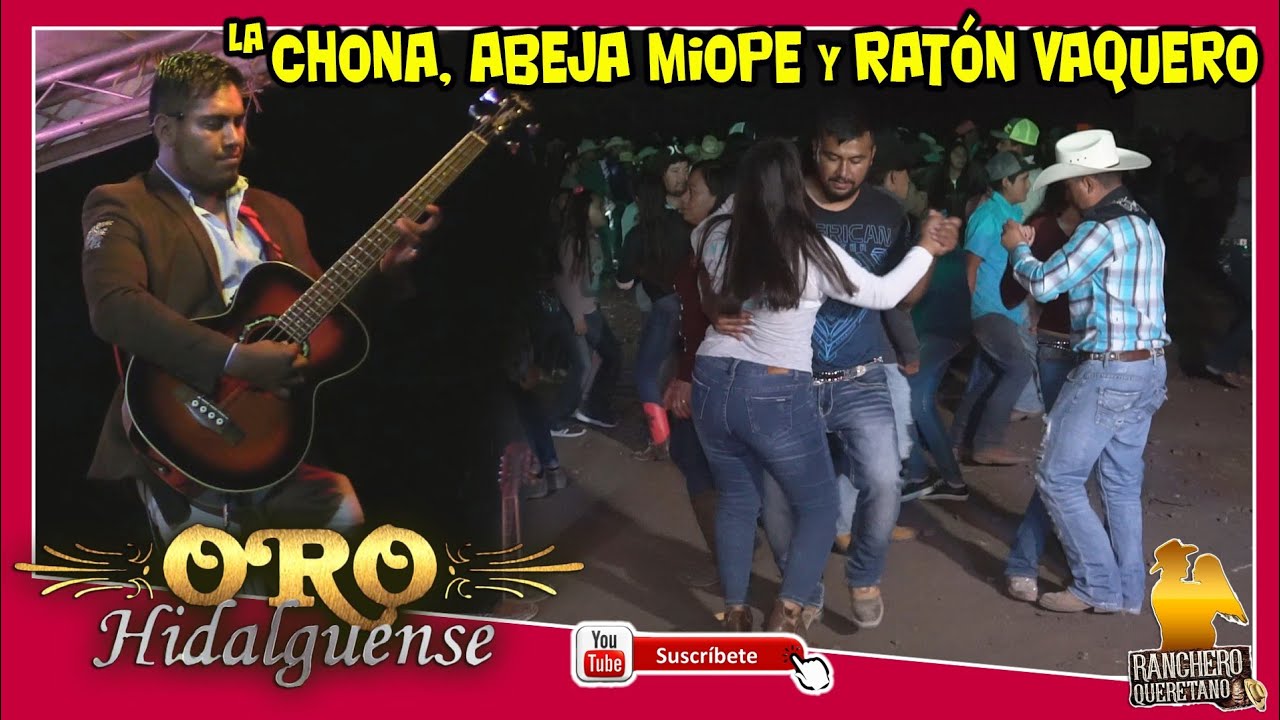 Oro Hidalguense 🪙 La Chona - abeja miope y el rat&oacute;n vaquero 🤠