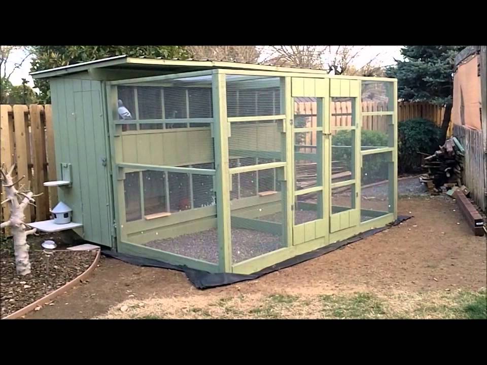 Breeder Lofts Moved To New Location.wmv